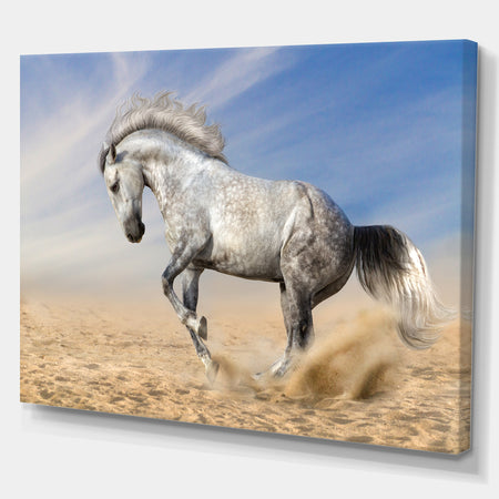 White Horse in Calm Sky - Farmhouse Animals Photographic on wrapped Canvas