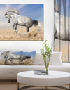 White Horse in Calm Sky - Farmhouse Animals Photographic on wrapped Canvas