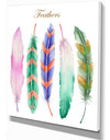 Colored Feathers - Animals Painting Print on Wrapped Canvas