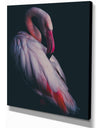 Pink Flamingo - Contemporary Art on wrapped Canvas