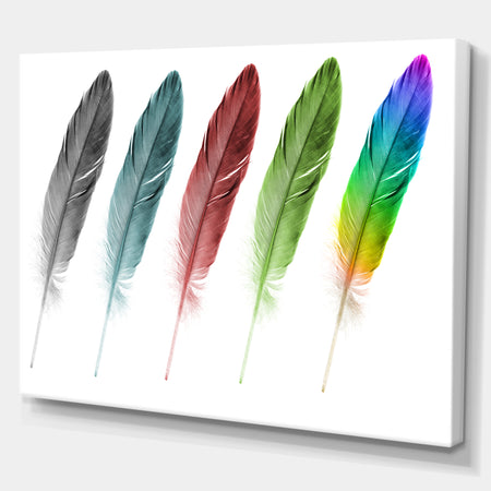 Set of Plumes - Digital Art on wrapped Canvas