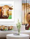 Cow Portrait - Farmhouse Animal Painting Print on Wrapped Canvas