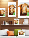 Cow Portrait - Farmhouse Animal Painting Print on Wrapped Canvas