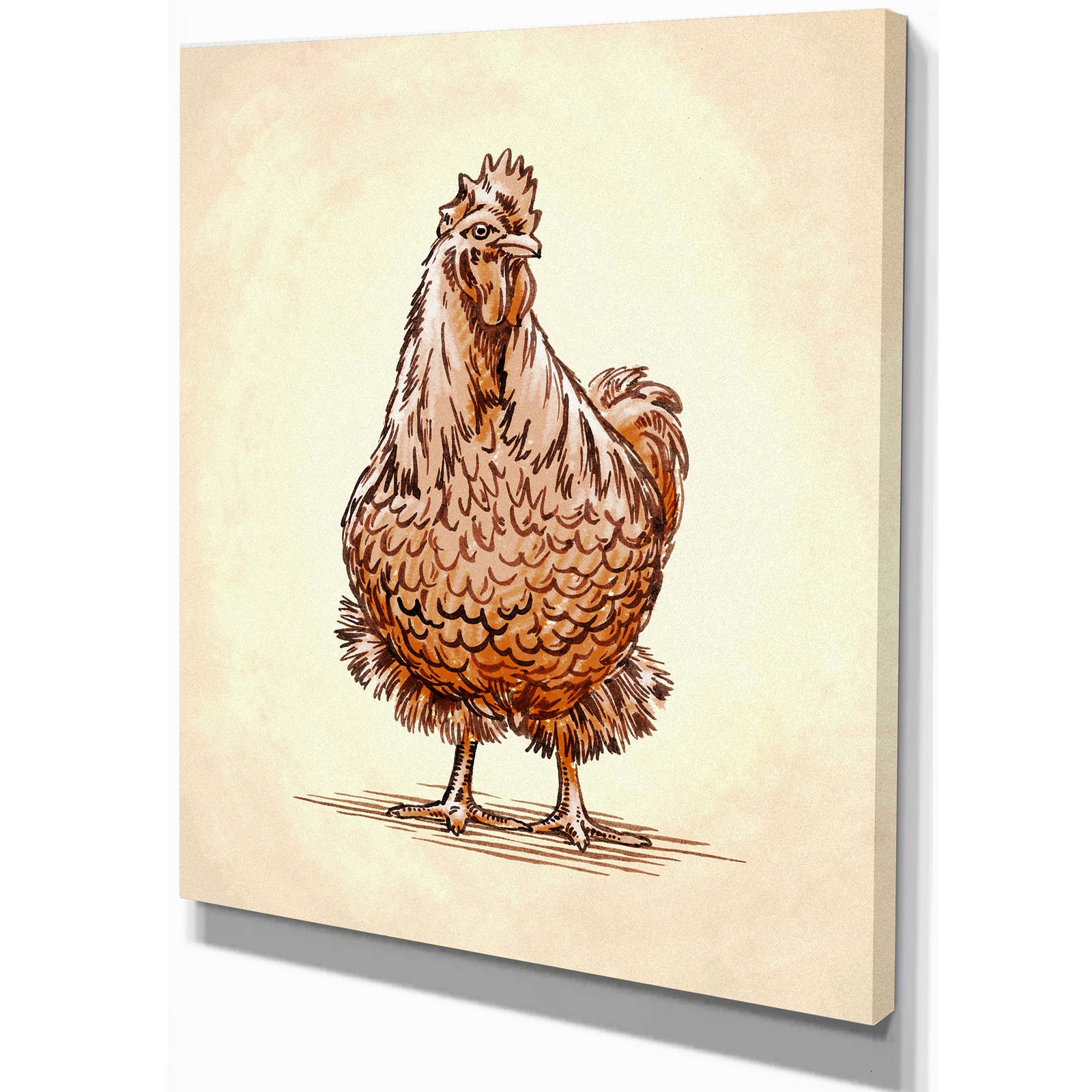 Color engrave isolated chicken illustration - Farmhouse Animal Painting Print on Wrapped Canvas