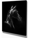 Horse in Black Background - Farmhouse Animal Painting Print on Wrapped Canvas