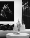 Horse in Black Background - Farmhouse Animal Painting Print on Wrapped Canvas