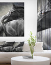 Black Horse - Farmhouse Animal Painting Print on Wrapped Canvas