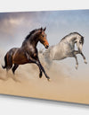 Two Horse Run in Desert at Cloudy Sky - Animals photographyPrint on Wrapped Canvas