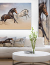 Two Horse Run in Desert at Cloudy Sky - Animals photographyPrint on Wrapped Canvas