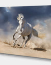 White andalusian horse in desert dust - Animals photographyPrint on Wrapped Canvas