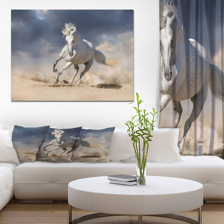 White andalusian horse in desert dust - Animals photographyPrint on Wrapped Canvas