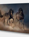 Two black stallion horse - Animals photographyPrint on Wrapped Canvas