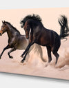 Two horse in dust - Animals photographyPrint on Wrapped Canvas