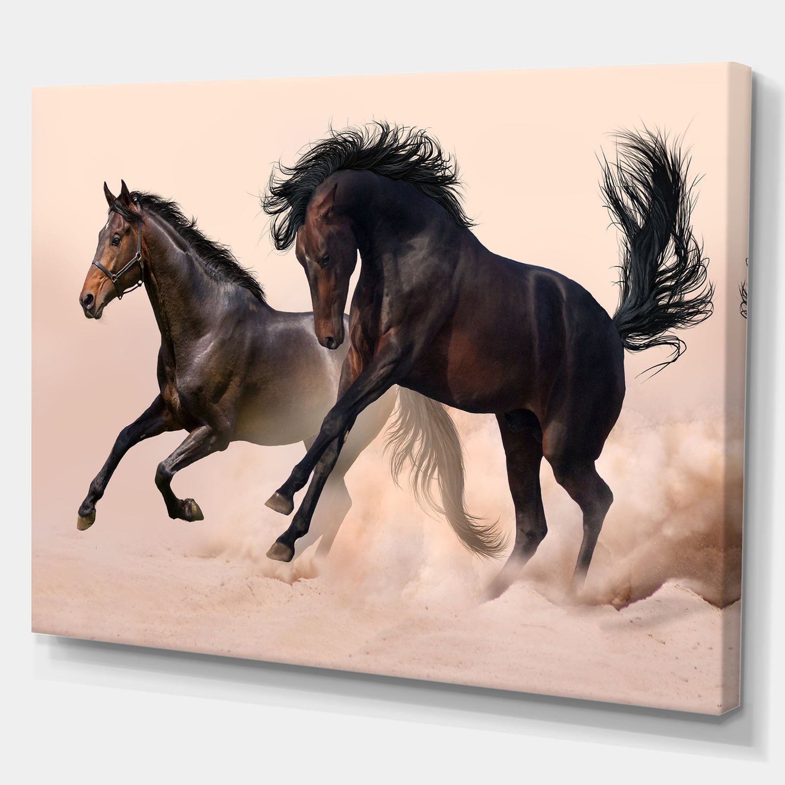 Two horse in dust - Animals photographyPrint on Wrapped Canvas