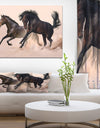 Two horse in dust - Animals photographyPrint on Wrapped Canvas