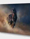 Black stallion horse - Animals photographyPrint on Wrapped Canvas