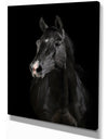 Black horse in darkness - Animals photographyPrint on Wrapped Canvas