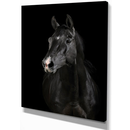Black horse in darkness - Animals photographyPrint on Wrapped Canvas