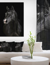 Black horse in darkness - Animals photographyPrint on Wrapped Canvas