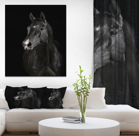Black horse in darkness - Animals photographyPrint on Wrapped Canvas