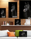 Black horse in darkness - Animals photographyPrint on Wrapped Canvas