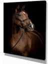 Horse Portrait - Animals photographyPrint on Wrapped Canvas