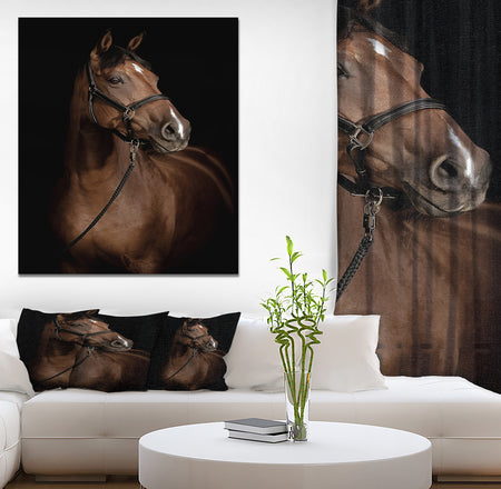 Horse Portrait - Animals photographyPrint on Wrapped Canvas