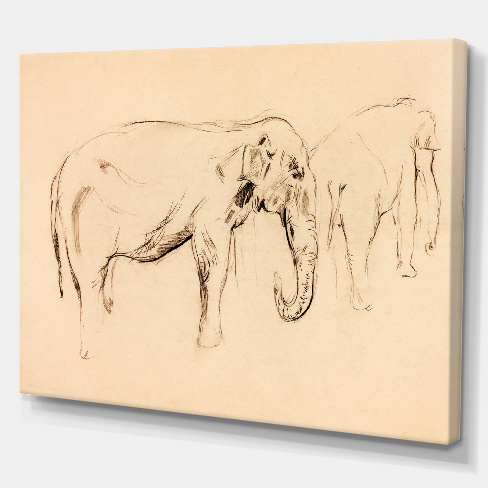 Elephant sketch - Animals Sketch Painting Print on Wrapped Canvas