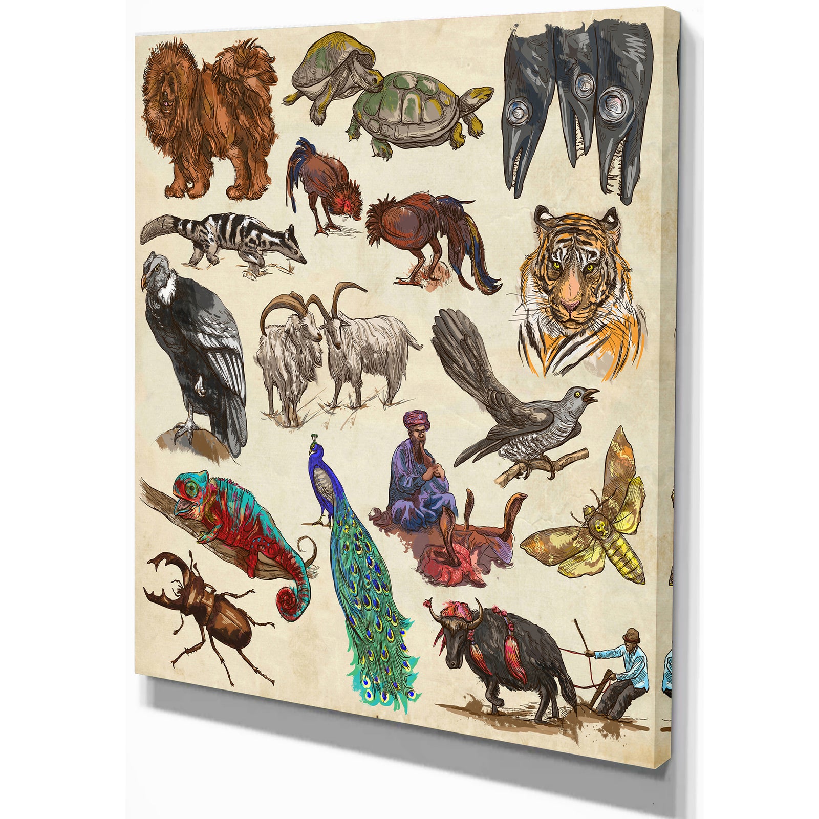 Pack Of Animals illustration - Sketch of Africa Animals of Painting Print on Wrapped Canvas