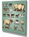 Farm animals vintage set - Sketch of Farmhouse Animals of Painting Print on Wrapped Canvas