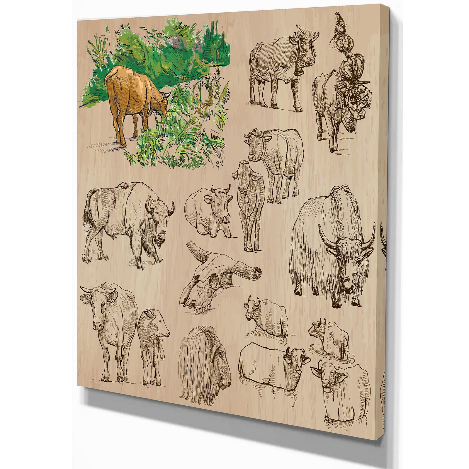 Cows and Cattle Illustration - Farmhouse Animal Painting Print on Wrapped Canvas