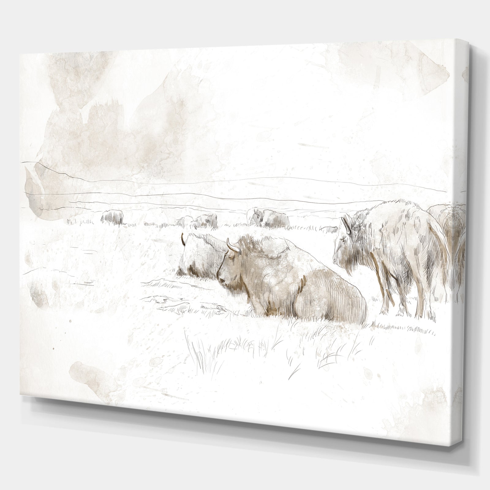 Wild Bison Buffalo Sketch - Farmhouse Animal Painting Print on Wrapped Canvas