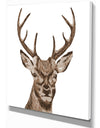 Deer Head - Animals Painting Print on Wrapped Canvas