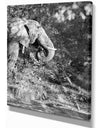 Black and white elephant - Africa Animals Painting Print on Wrapped Canvas