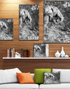 Black and white elephant - Africa Animals Painting Print on Wrapped Canvas