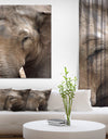 Emotional Elephant in close up - Africa Animals photography on Wrapped Canvas