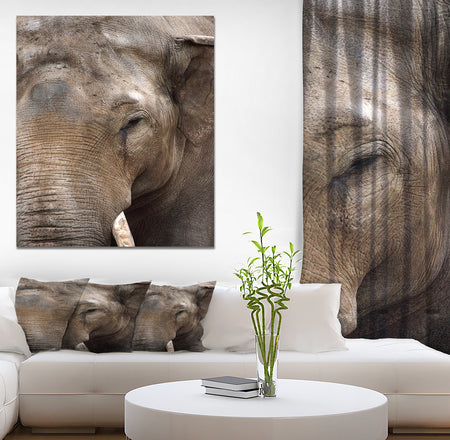 Emotional Elephant in close up - Africa Animals photography on Wrapped Canvas