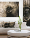 Elephant Head - Africa Animals photography on Wrapped Canvas