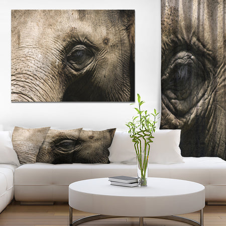 Elephant Head - Africa Animals photography on Wrapped Canvas