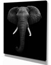 African Elephant - Africa Animals photography on Wrapped Canvas