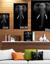 African Elephant - Africa Animals photography on Wrapped Canvas