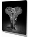 African Big Elephant - Africa Animals photography on Wrapped Canvas