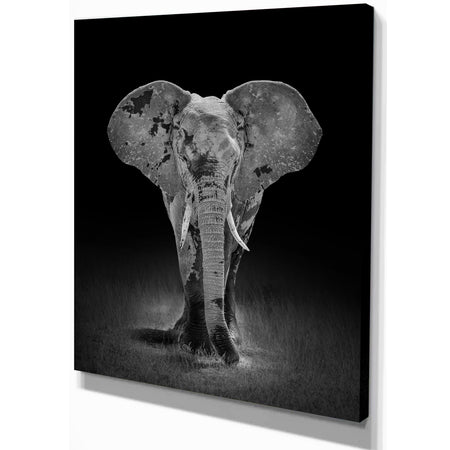African Big Elephant - Africa Animals photography on Wrapped Canvas
