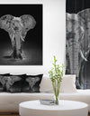 African Big Elephant - Africa Animals photography on Wrapped Canvas