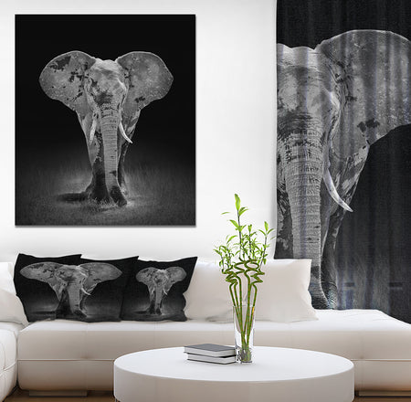 African Big Elephant - Africa Animals photography on Wrapped Canvas