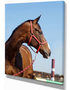 Horse Head in Calm Sky - Animals Photography Print on Wrapped Canvas