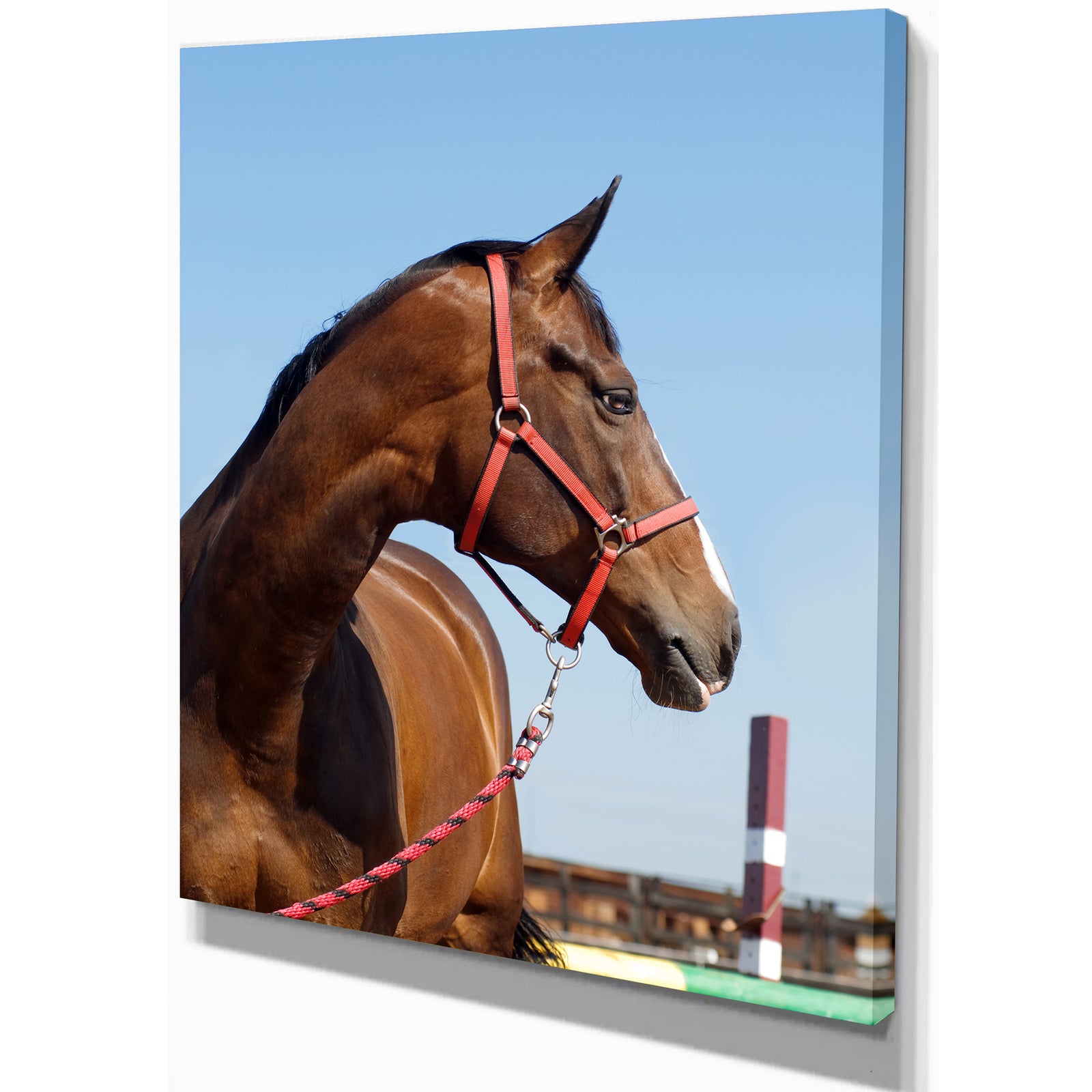 Horse Head in Calm Sky - Animals Photography Print on Wrapped Canvas