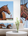 Horse Head in Calm Sky - Animals Photography Print on Wrapped Canvas