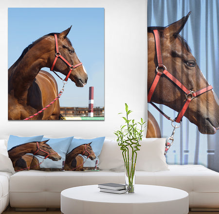 Horse Head in Calm Sky - Animals Photography Print on Wrapped Canvas