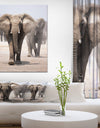 Elephant Herd - Africa Animals Photography on Wrapped Canvas